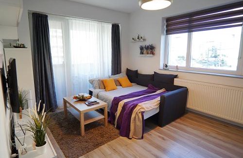 Tractorul Apartment | Relaxing Coresi Apartment