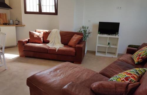 Quatre Carreres Apartment | Relaxing house overlooking beautiful City of Arts