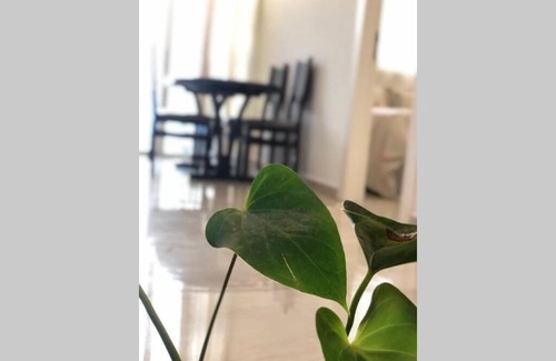 Safed Old City Apartment | Relaxing mountain view haven