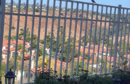 Aliso Viejo House | Relaxing view, a few minutes from beach