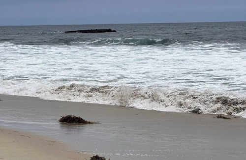 Aliso Viejo House | Relaxing view, a few minutes from beach