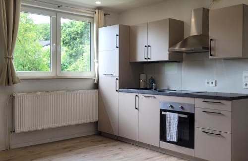 Bad Arolsen Apartment | Reload Apartments - FeWo1 im Remmeker Feld