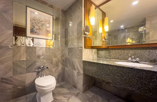 Bangkok Central Business District Hotel | Rembrandt Hotel Bangkok