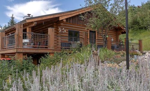 Alpine House | Remodeled Cabin with Pool Table and Hot-Tub in Wyoming