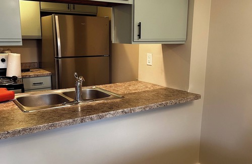 Waconia House | Remodeled Townhome - Close to - The Lake - Quaint Downtown - The Hospital