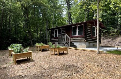 Franklin House | Remote Vintage Camper Rental for Adult-Only Retreat in Franklin, North Carolina