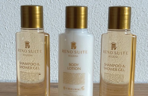 Historic Center House | Reno Suite Bologna