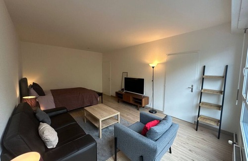 Les Charmilles Apartment | Renovated Suite Geneva City Center