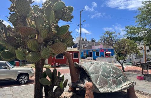 Puerto Baquerizo Moreno Apartment | Rent Apartments Finch Nest