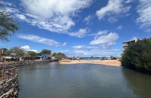 Puerto Baquerizo Moreno Apartment | Rent Apartments Finch Nest