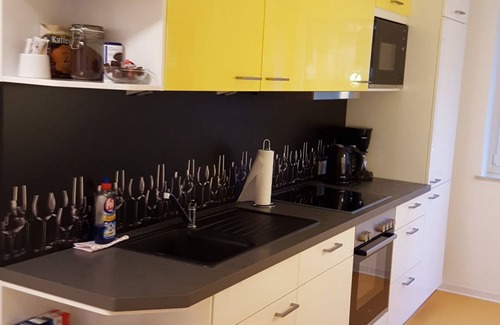 Schleswig Apartment | Rental-Standard-Private Bathroom-Balcony-Ferienwohnung OG
