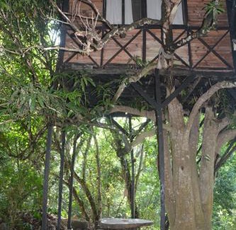 Santa Marta Cabin | Reserva Biologica Caoba