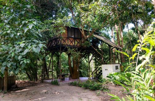 Santa Marta Cabin | Reserva Biologica Caoba