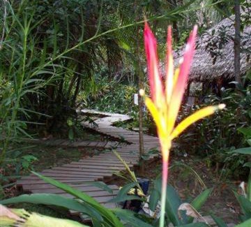 Leticia Cabin | Reserva Natural Heliconia Amazonas