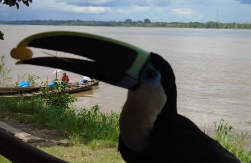 Leticia Cabin | Reserva Natural Heliconia Amazonas