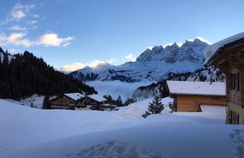 Val d'Illiez Apartment | Residence D Appartement 1