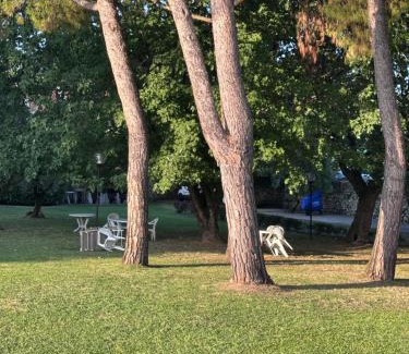 San Felice del Benaco House | Residence L'Oliveto Garden and Swimming pool