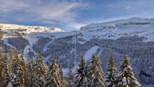 Flaine Apartment | Residence les Pleiades