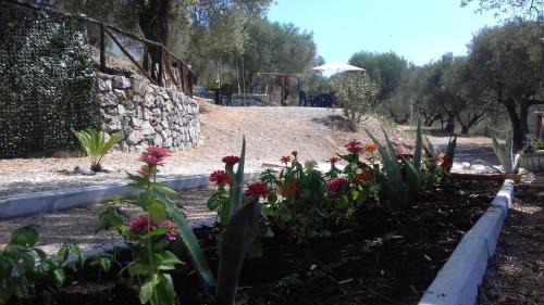 Lentiscosa House | Residence Oasi Petrus Cilento