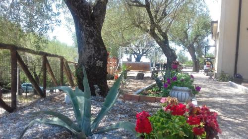 Lentiscosa House | Residence Oasi Petrus Cilento
