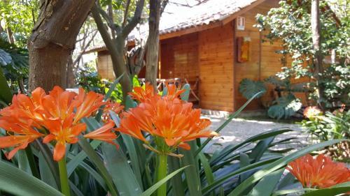 Sorrento Apartment | Residence Villaggio Verde
