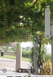Jardim Sabara Bed & Breakfast | Residencial pós cirurgia