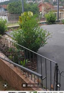 Jardim Sabara Bed & Breakfast | Residencial pós cirurgia