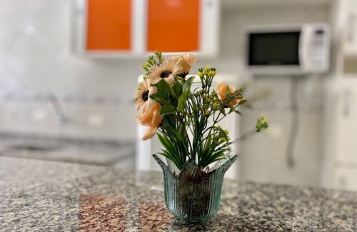Aviacao Apartment | Residencial Santo Expedito