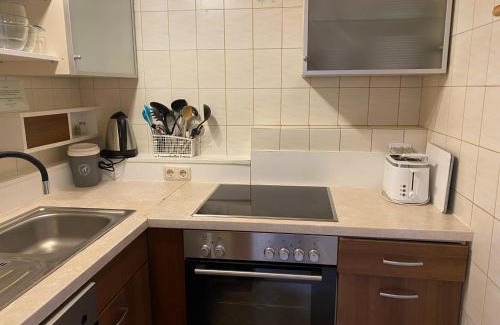 Viehhofen Apartment | Residenz am Erzbach Top 2A