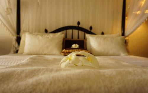 Matara Hotel | Rest House Matara