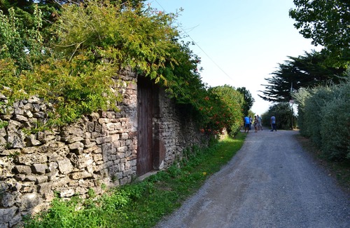 Sainte-Marie-de-Re Cottage | Restored old winery vineyards and sea