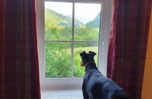 Bouvet Island House | Retreat in Coed Y Brenin forest near Dolgellau
