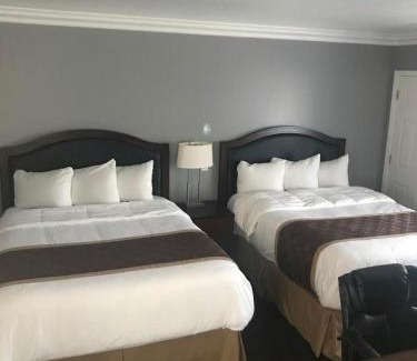 Ventura Hotel | Rex Motel