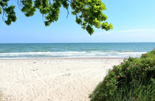 Lobbe Apartment | Rex Rugia FeWo12-2 strandnah,Terrasse,Sauna,Pool