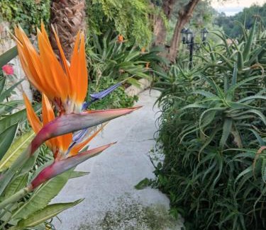 Menton Apartment | Rez de villa avec piscine