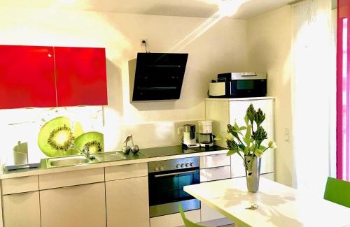 Petershausen-West Apartment | Rhein Romantik riverview