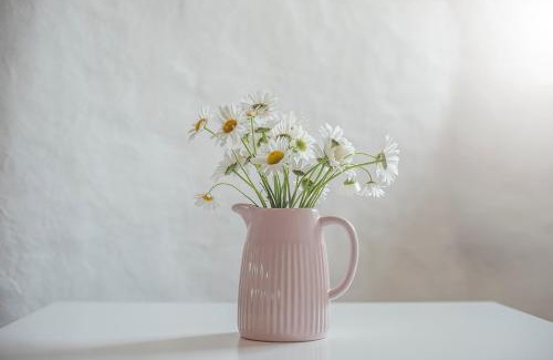 St Brides House | Rhosson Uchaf