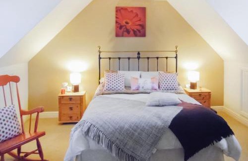 Cardigan House | Rhosyn Gwyn