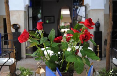 Sidi Bou Amar House | Riad dar Ourika