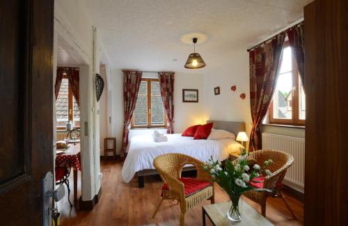 Ribeauville Apartment | RIBEAUVILLE city center - Gîte des Ménétriers, LE TOKAY -