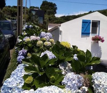 Vila Franca do Campo House | Ribeira da Praia House