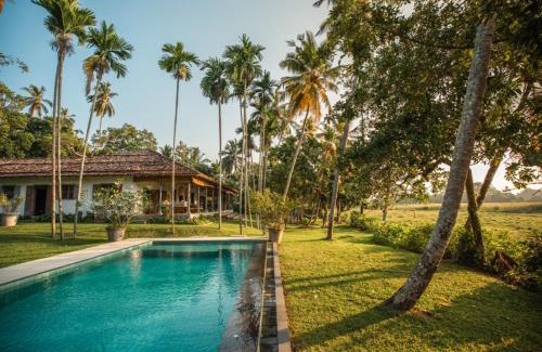 Unawatuna Villa | Rice House