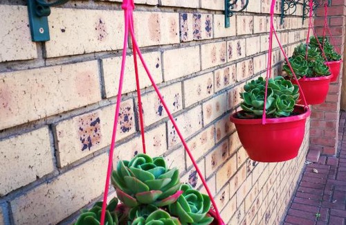 Middelburg House | Ridderspoor Guesthouse
