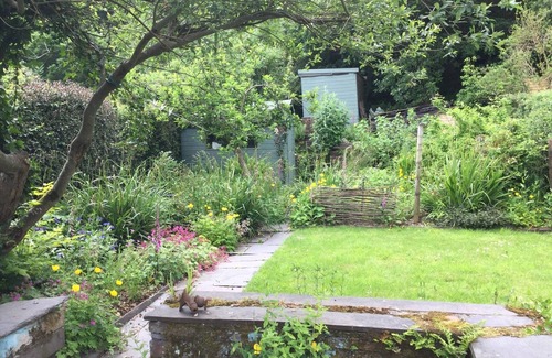 Bethesda Cottage | Ride the Zipwire