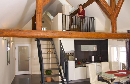 Billigheim-Ingenheim Apartment | Riesling apartment - Winzerhof am Steingebiss