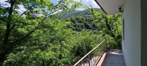 Karuc Apartment | Rijeka Crnojevica Apartment Vujovic