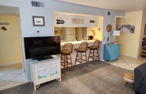 Bayview Condo | Ring in the New Year on Boca Ciega Bay! January 2026 available!