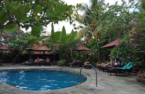 Lovina Hotel | Rini hotel