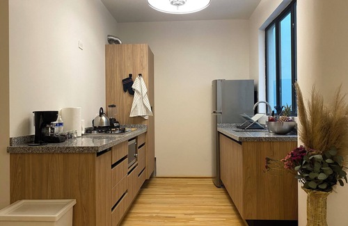 Colonia Cuauhtemoc Apartment | RIO HUDSON by Mr. W