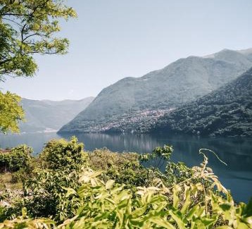 Laglio Apartment | Rivacanze Apartments